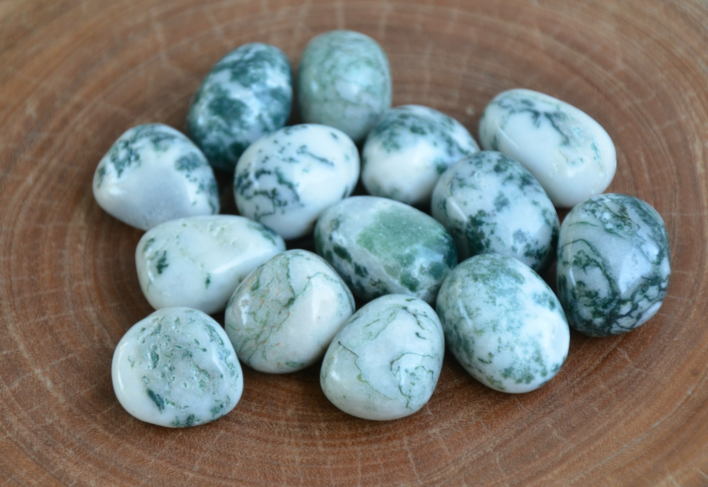 Tree Agate Tumbles