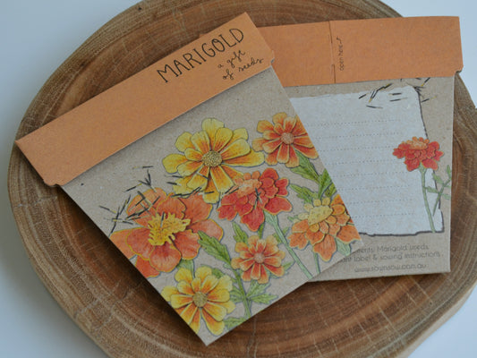Gifts of Seed - Marigold