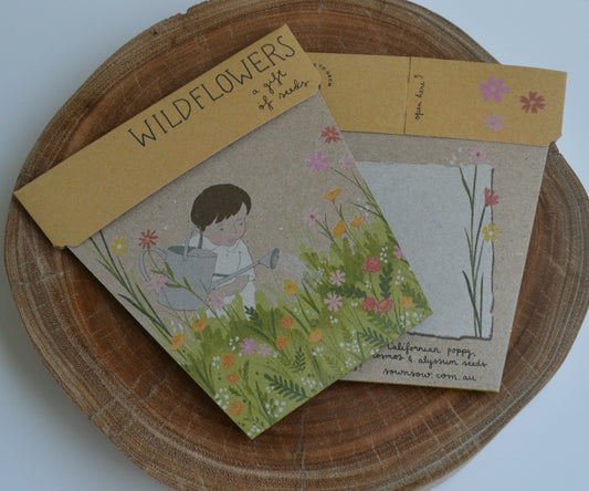 Gifts of Seeds - Wildflowers