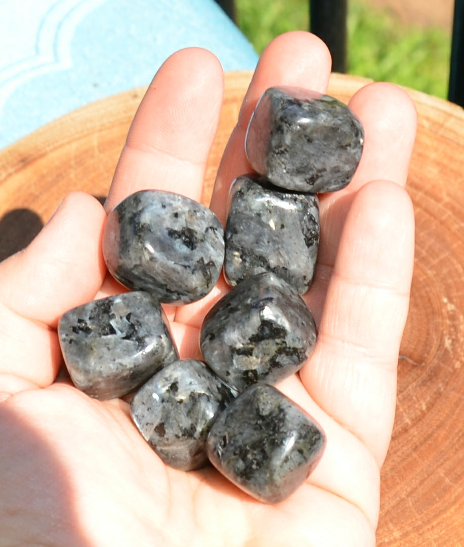 Larvikite Tumble