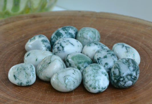 Tree Agate Tumbles